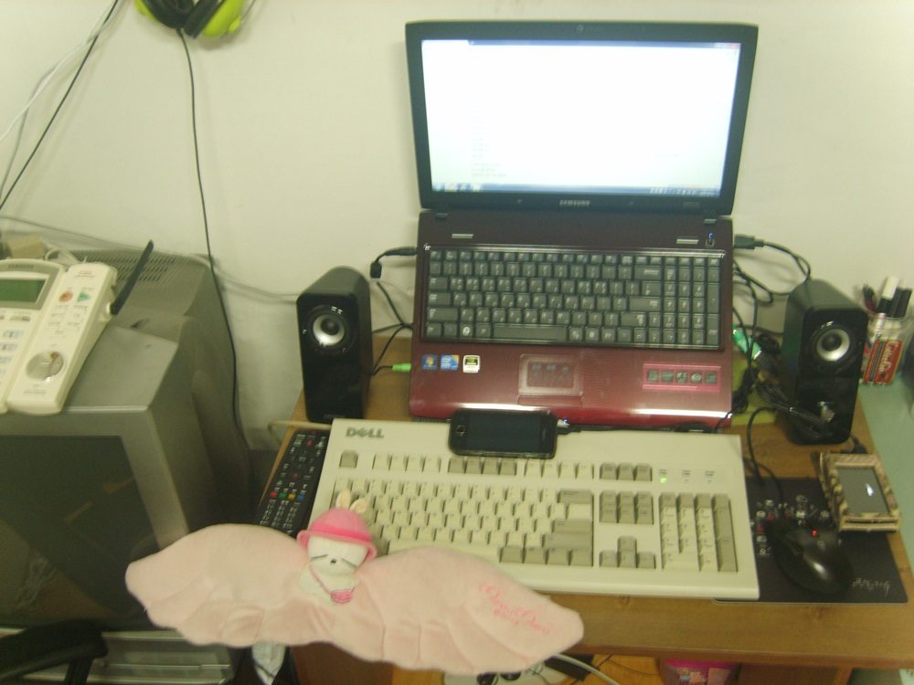 S8000521.JPG