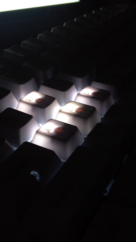 IMG_4253.JPG : iPad + full LED keyboard + PBT keycap