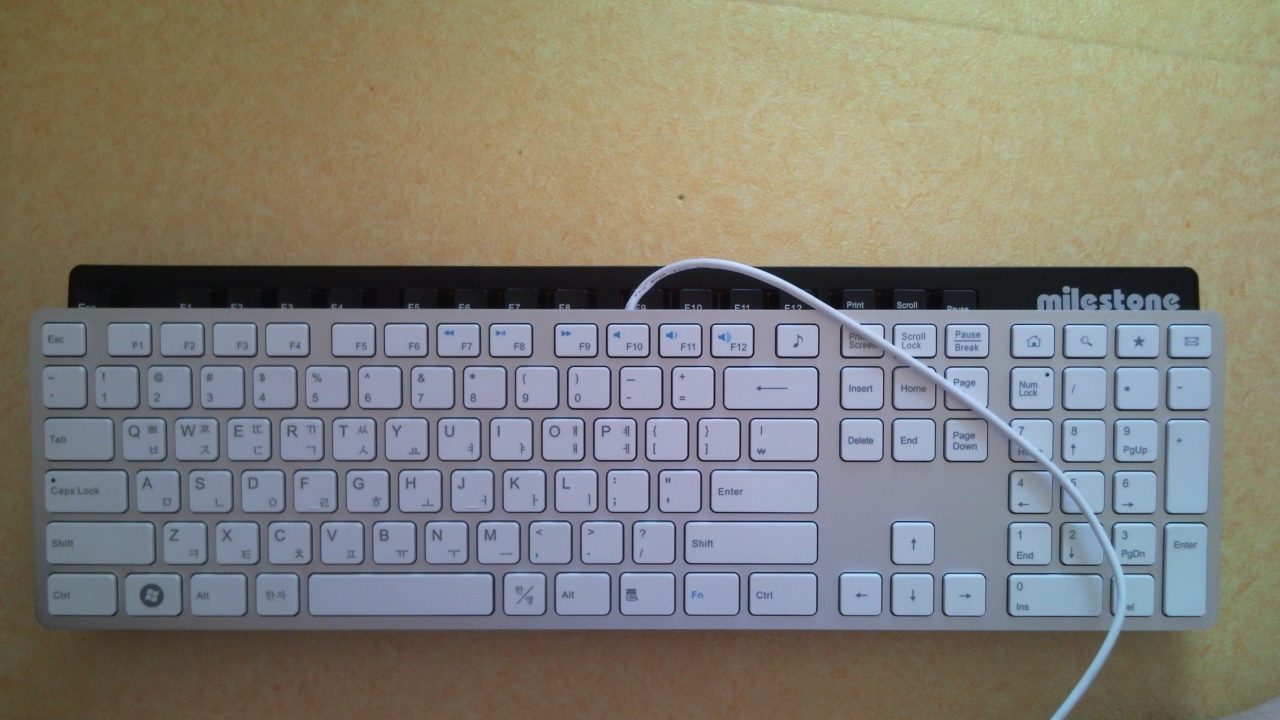 P110317004.jpg