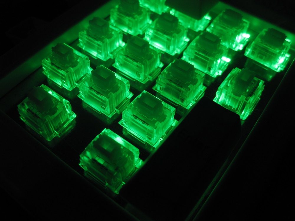 IMG_1355.JPG : Alps Switches