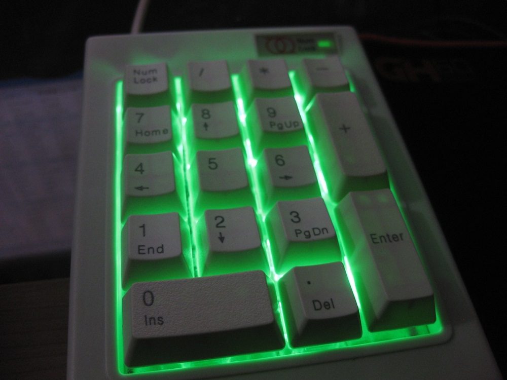 IMG_1316.JPG : Alps Switches