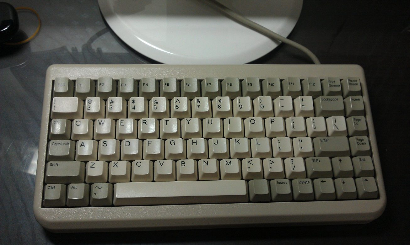 IMAG0331.jpg