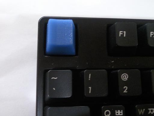 P100601003.jpg