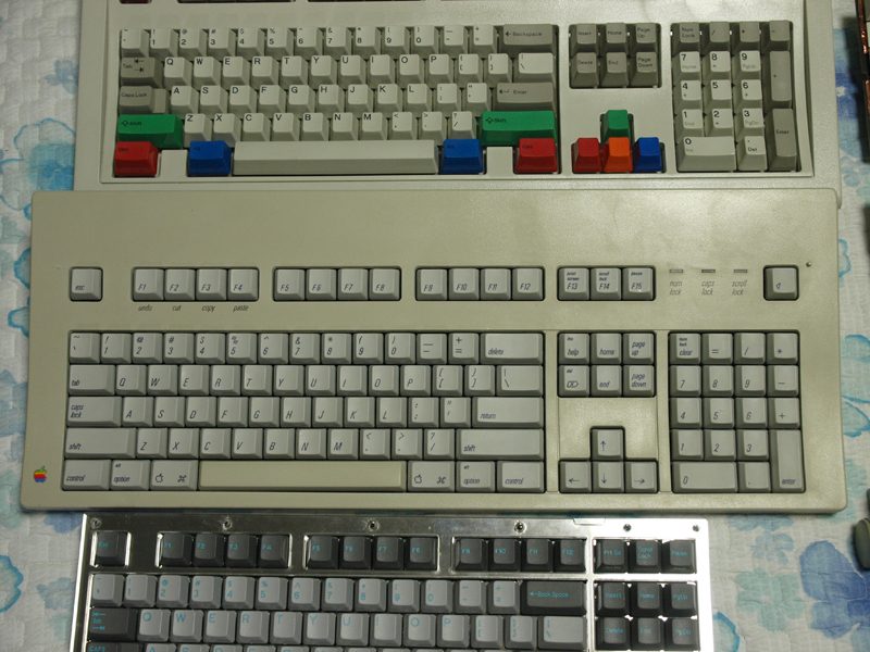 P6223244.JPG