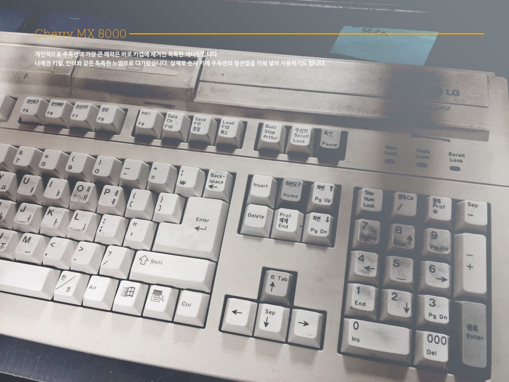 mx8000_2.jpg
