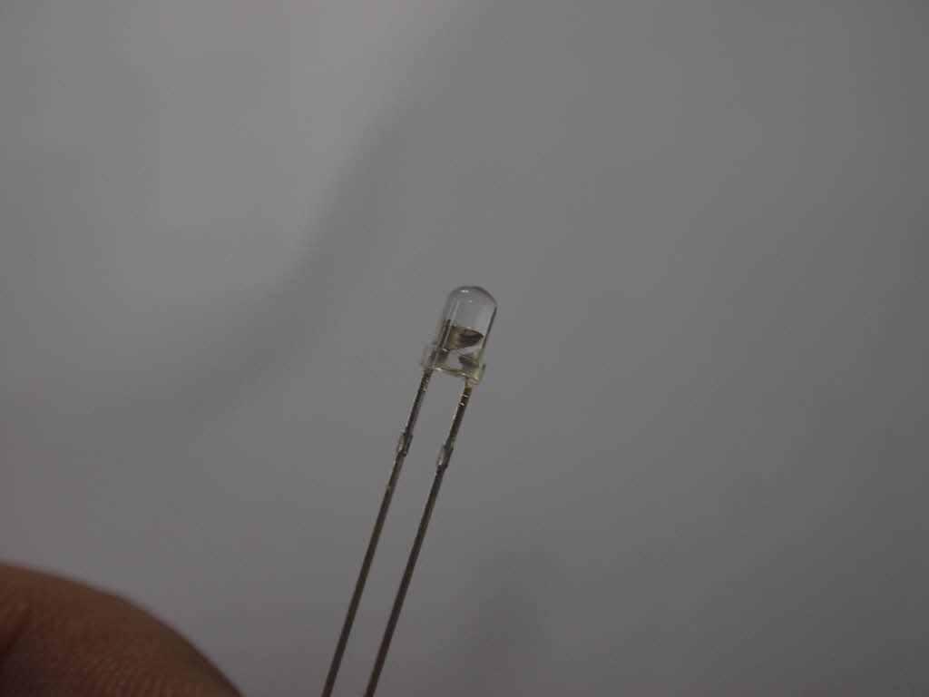 R_R__5251364.JPG