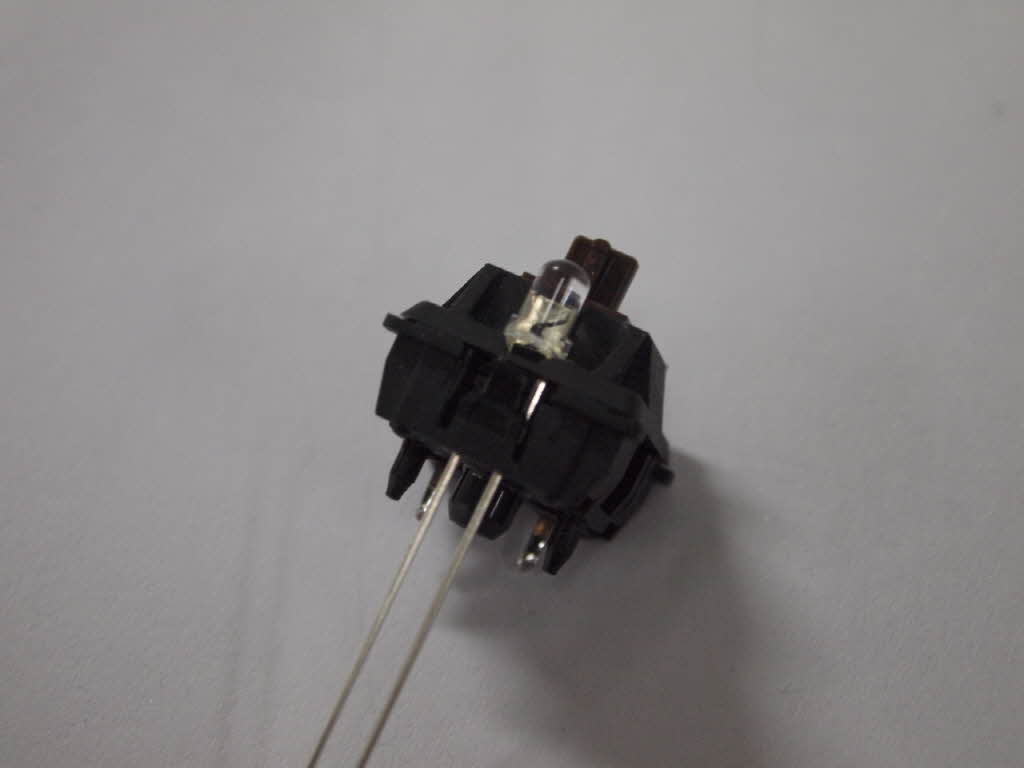 R_R__5251366.JPG