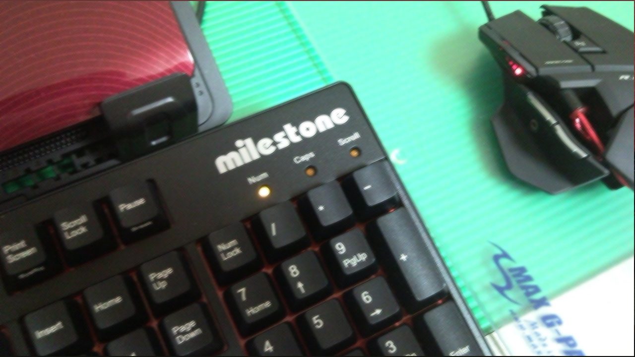 P110318001.jpg