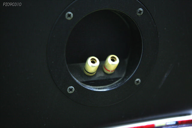 S05.jpg