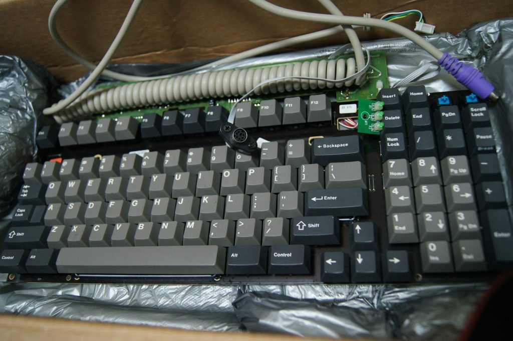 dol2.jpg