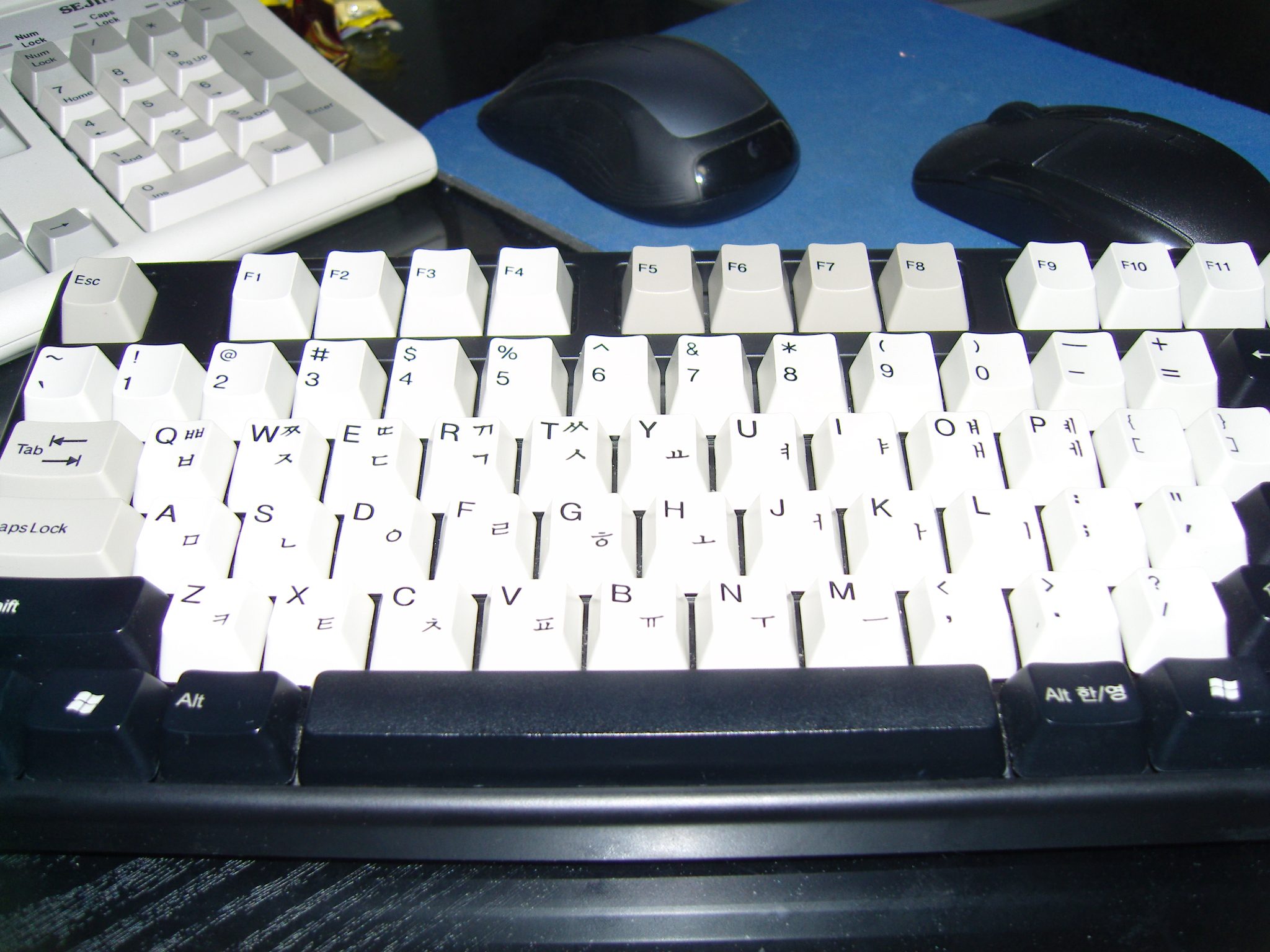 SN200498.JPG