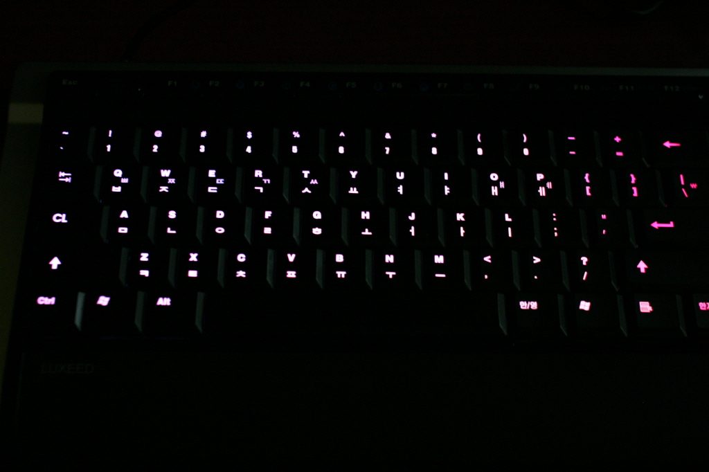 MG_9999.JPG