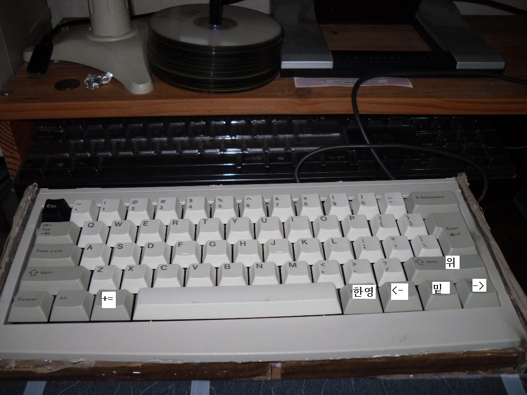 SDC13050.JPG