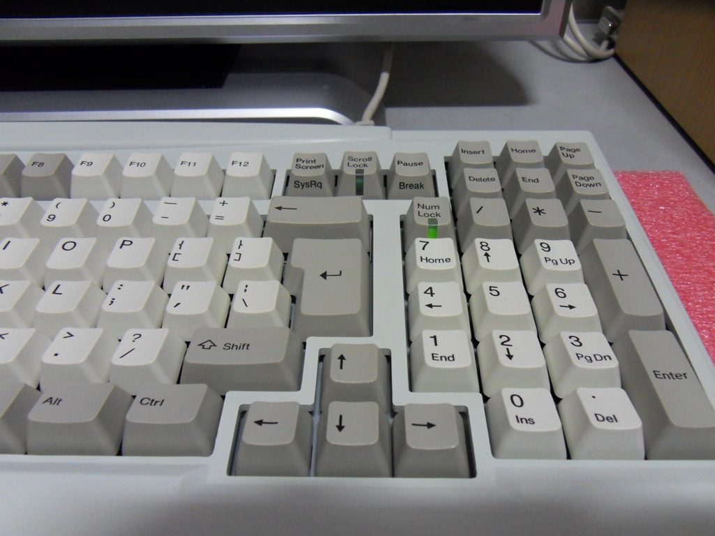SDC10834_1.JPG