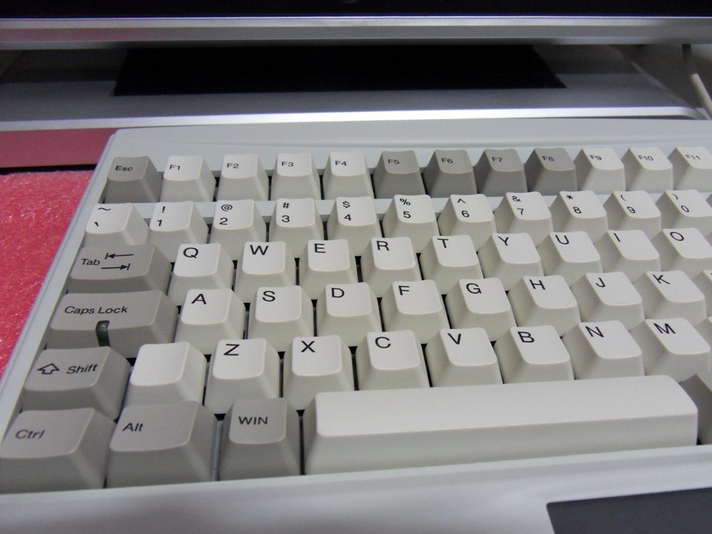 SDC10835_1.JPG