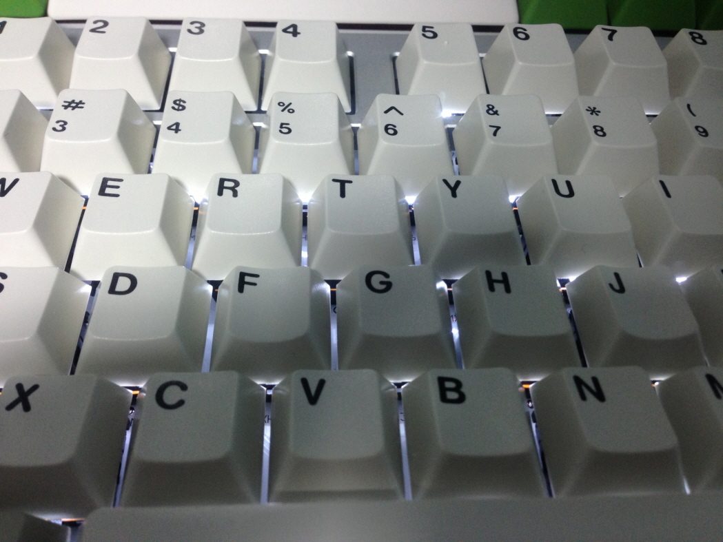 크기변환_image (5).jpg