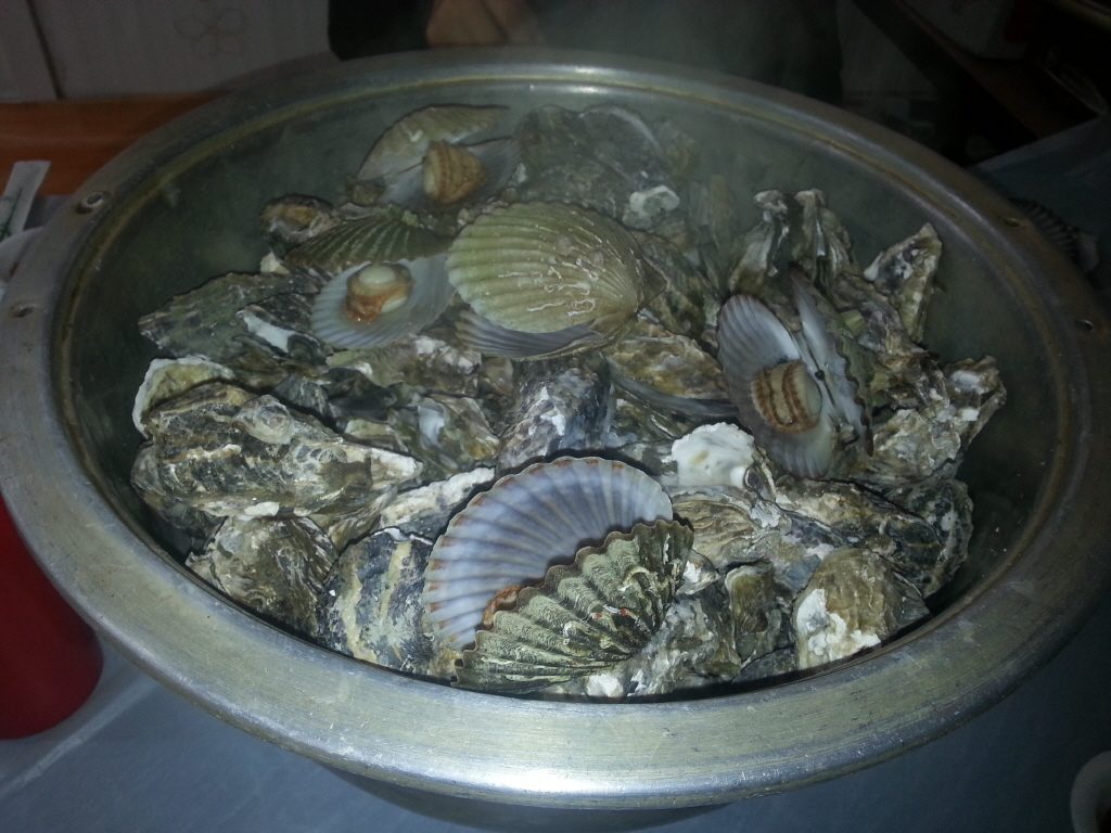크기변환_20131228_131629.jpg