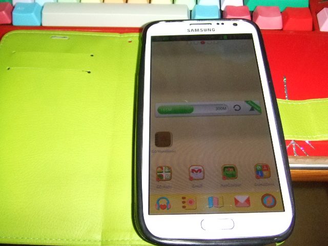 DSCF1312.JPG