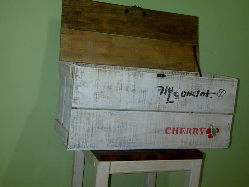 왼손IMG-20130120-00566.jpg
