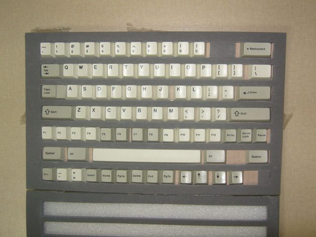 SNC17656.jpg