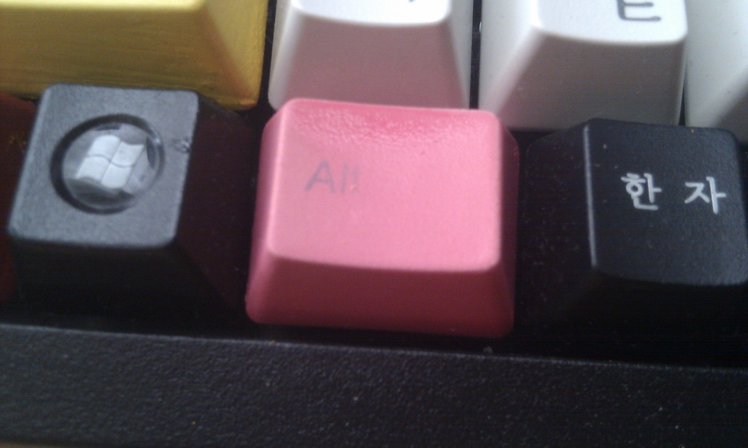 IMAG0060.jpg