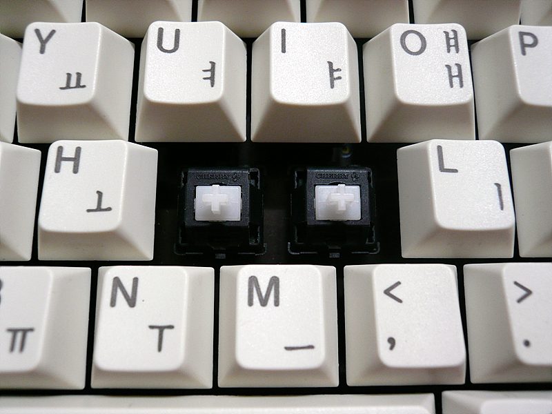 P1000561.jpg