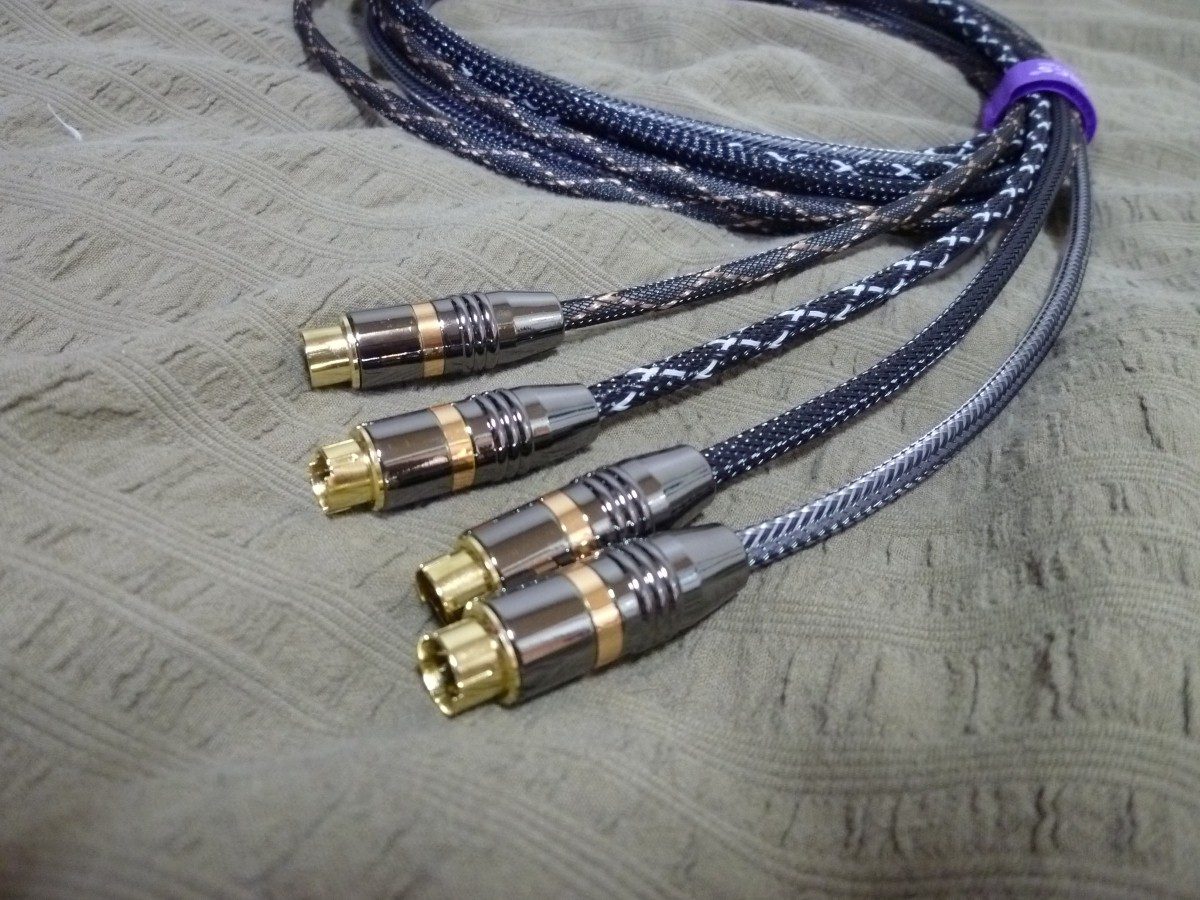P1050025 (Custom).JPG