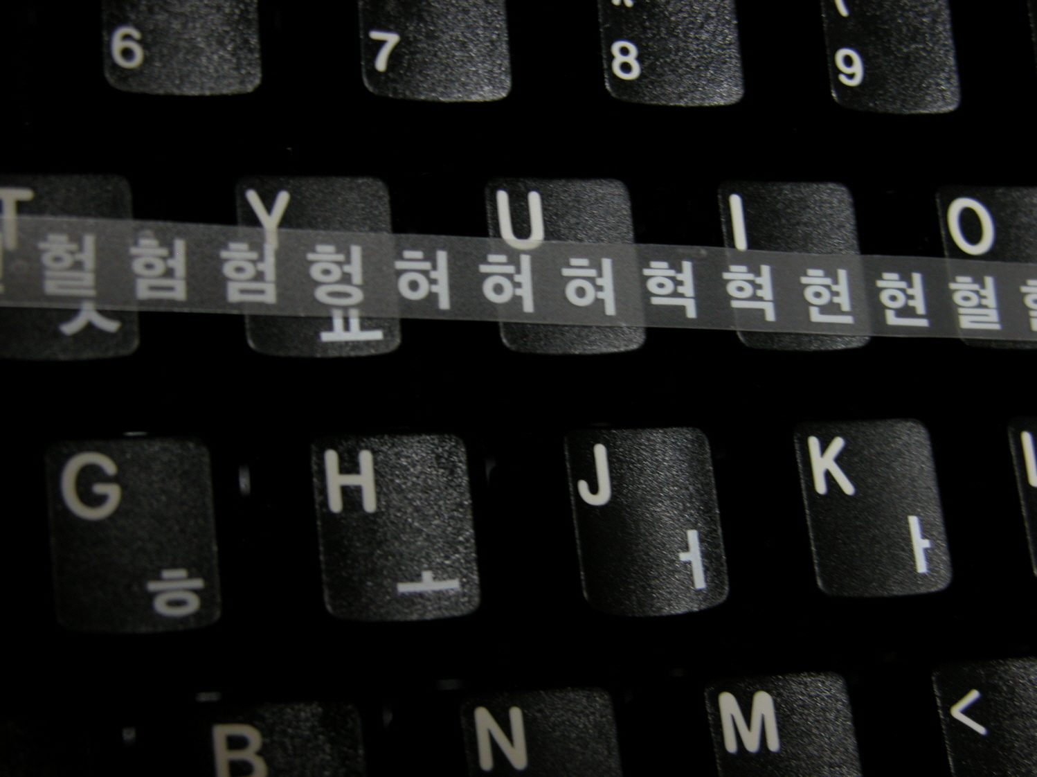 DSCN2674.JPG