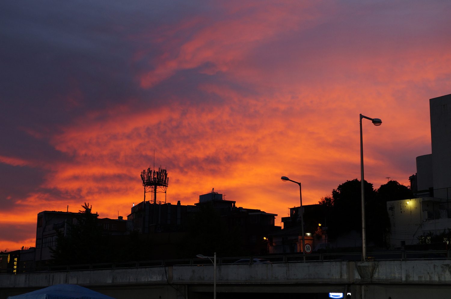_DSC0864.JPG