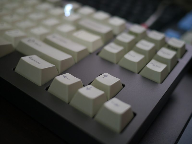 P1000992.jpg