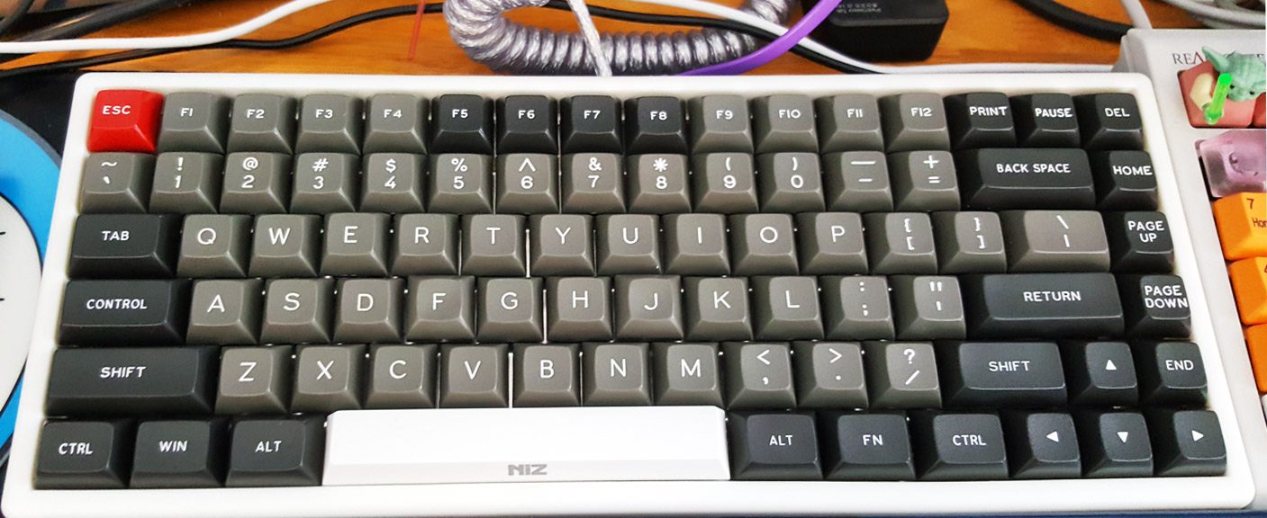dsa_plum84.jpg