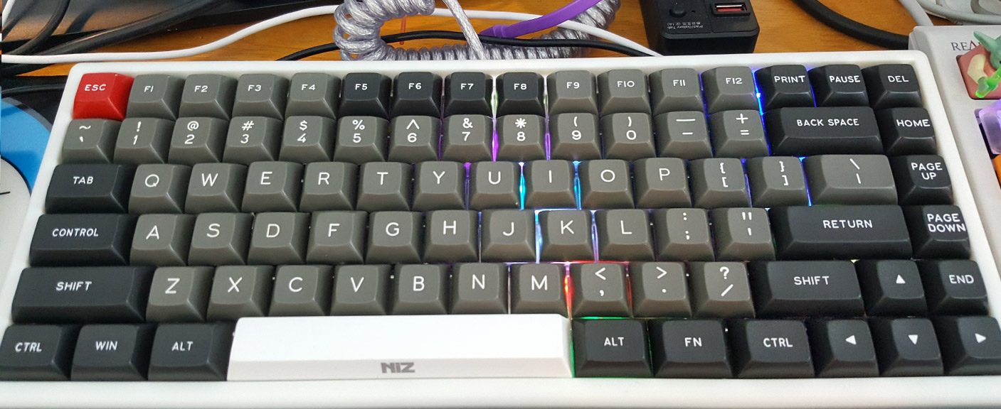 dsa_plum84_2.jpg