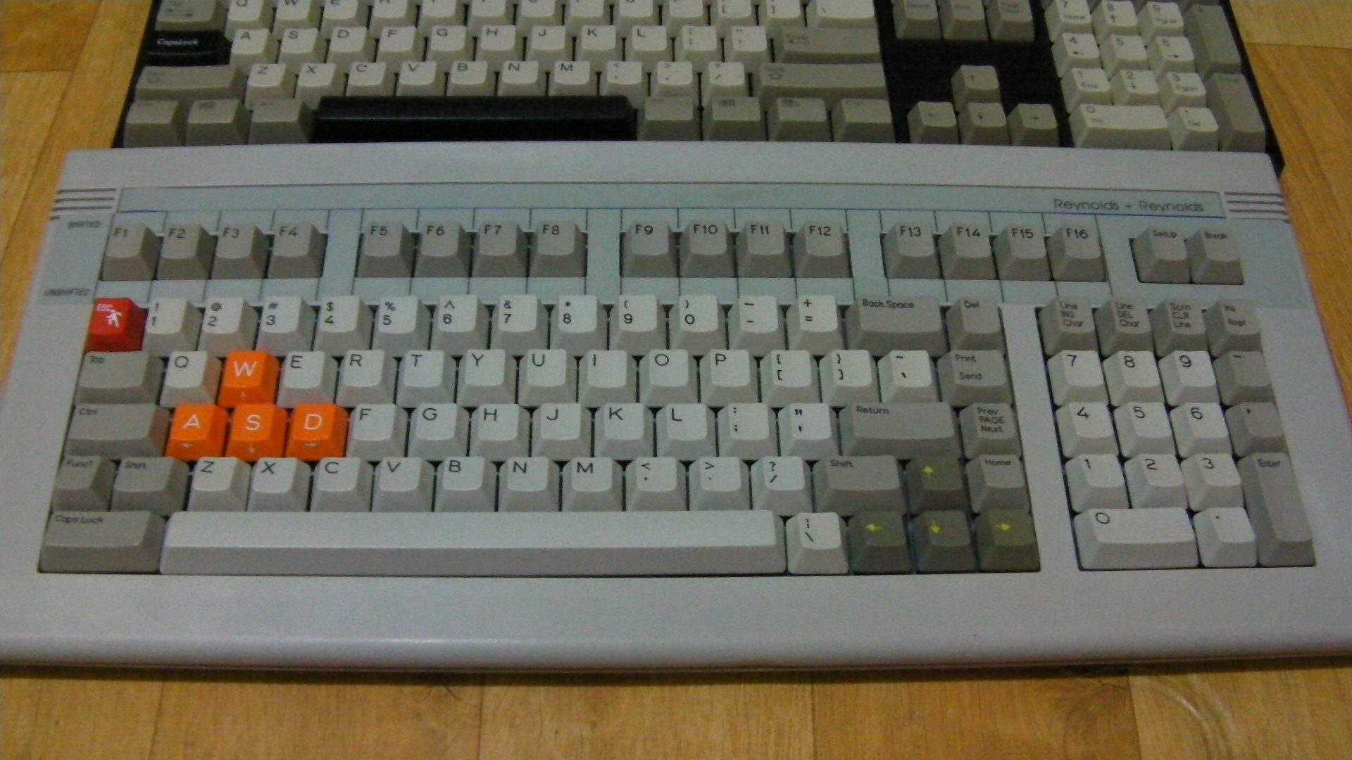 SANY0050.JPG