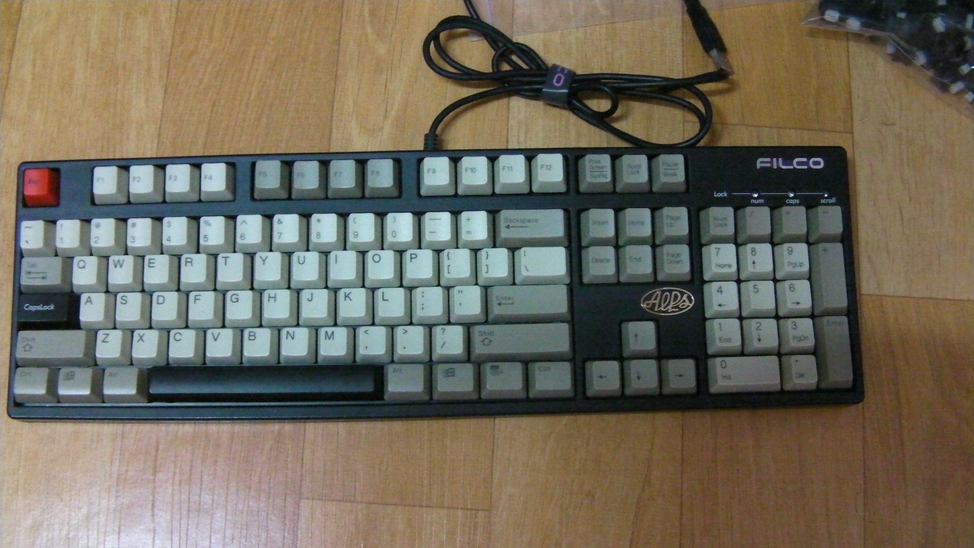 SANY0055.JPG