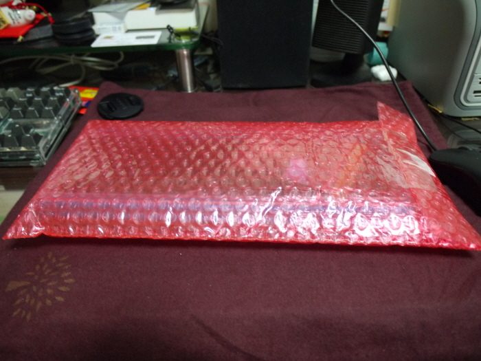 re1P1000052.JPG