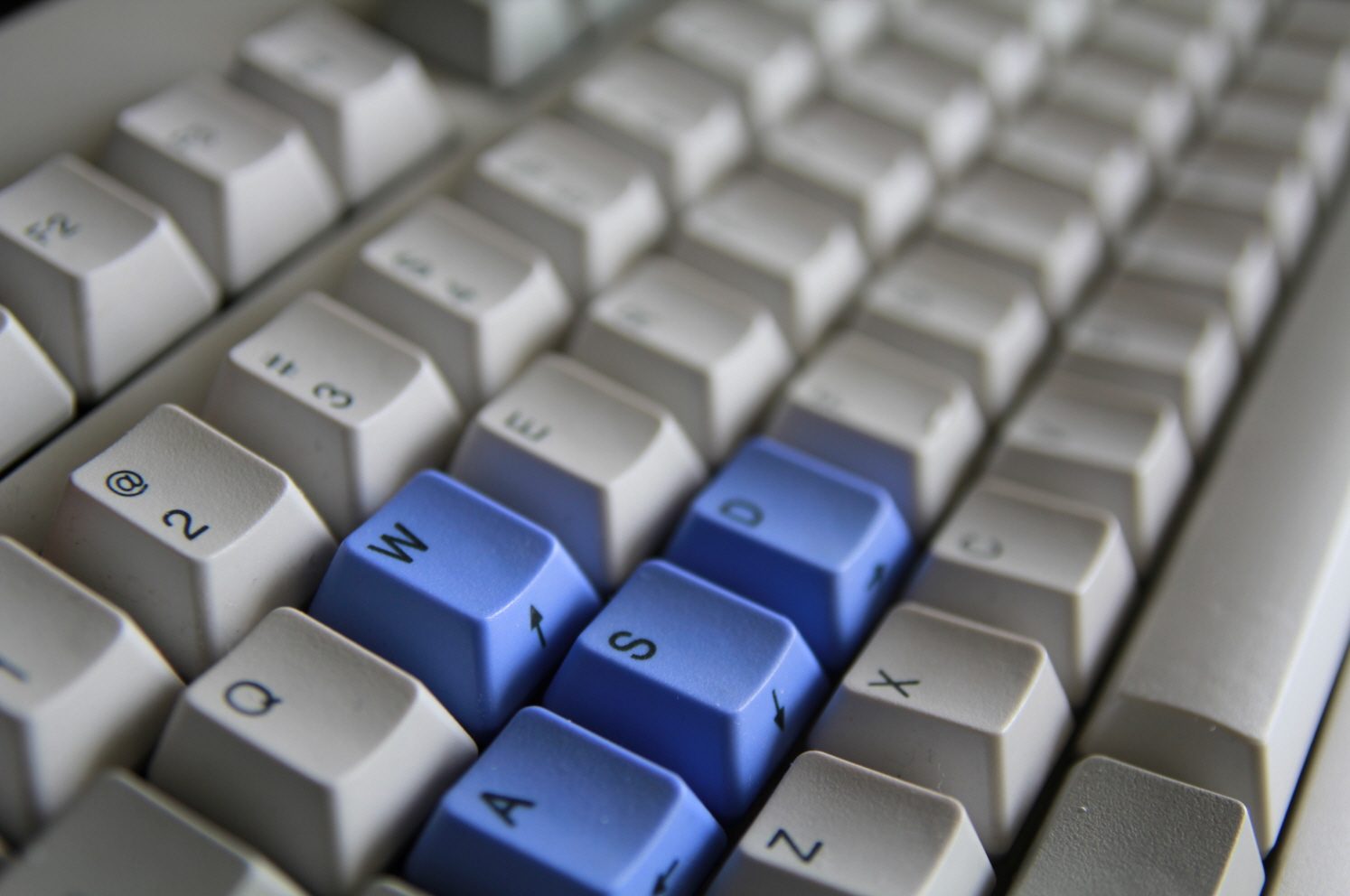1KBD.JPG