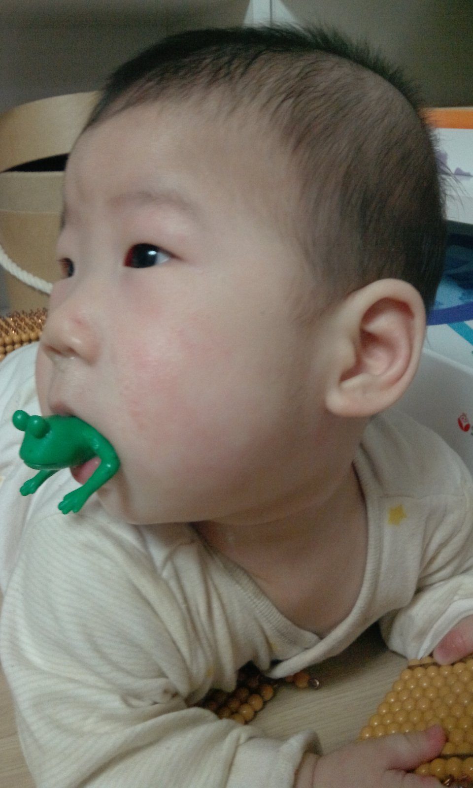 IMG_20120318_191410.jpg