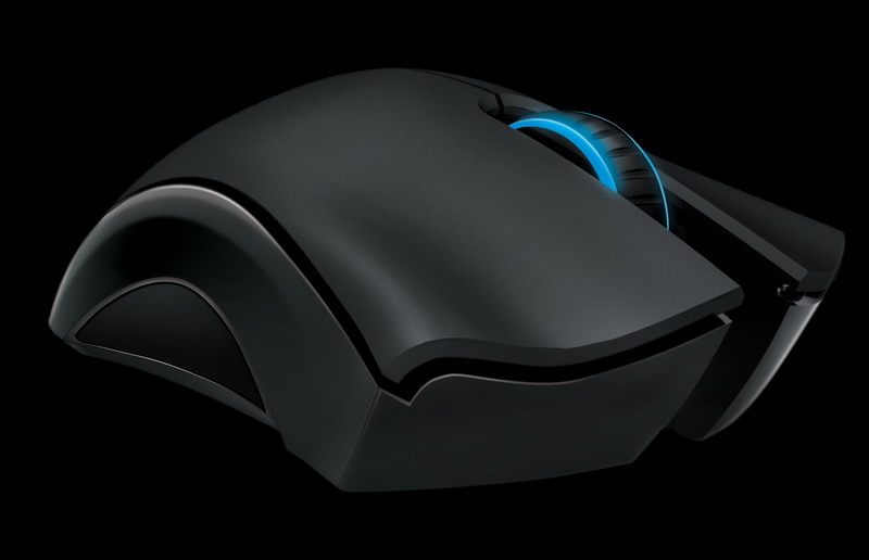 Rzr_Mamba_04_resize.jpg