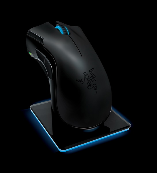 Rzr_Mamba_05_resize.jpg