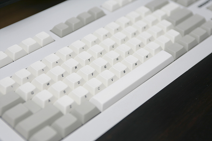 _Resize_IMG_7824.jpg