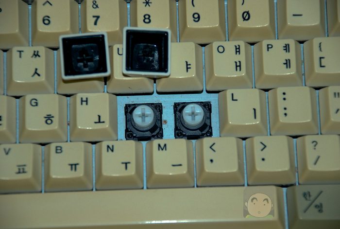 r-4067.jpg