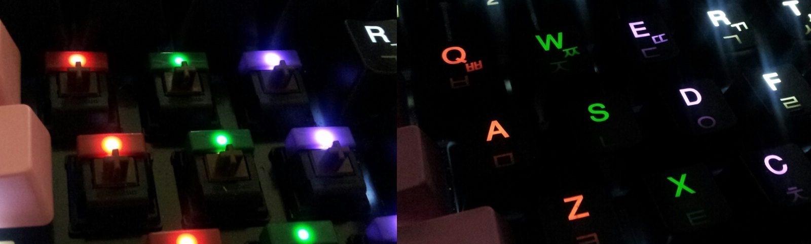 dddddddddddd.jpg