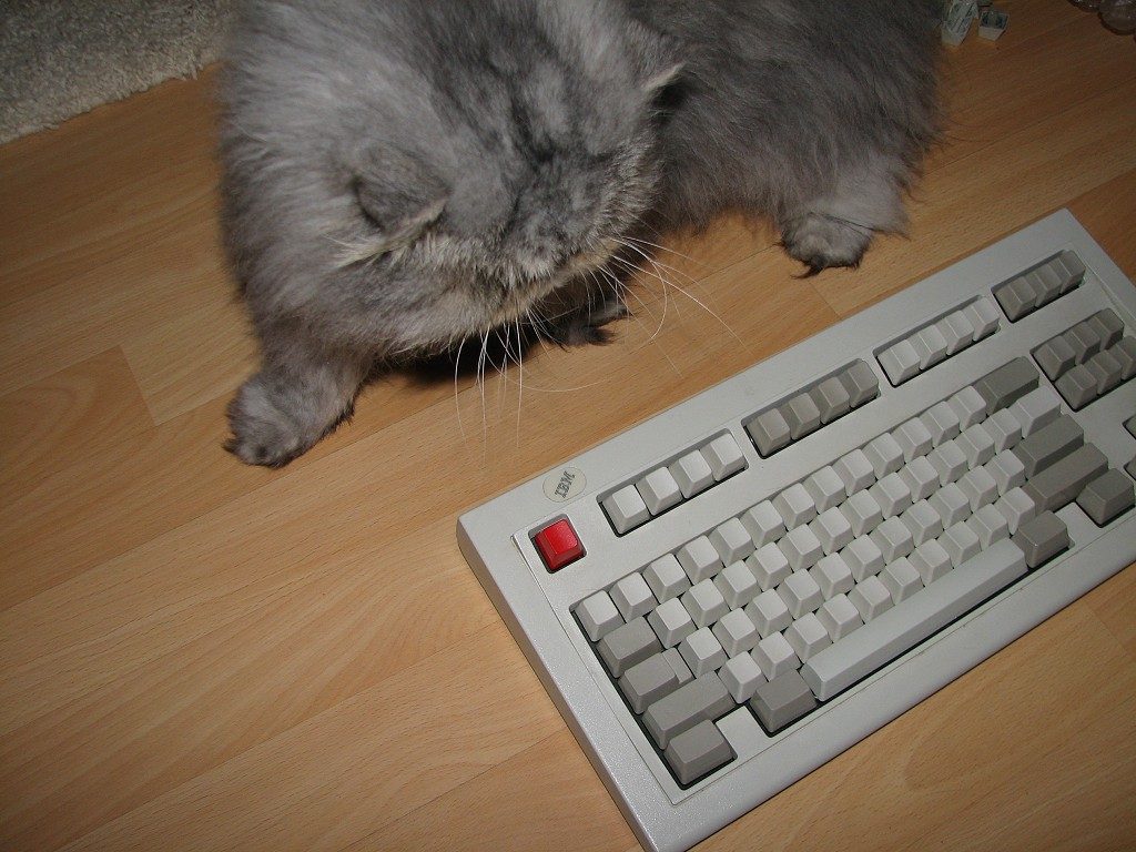 unicomp14.jpg