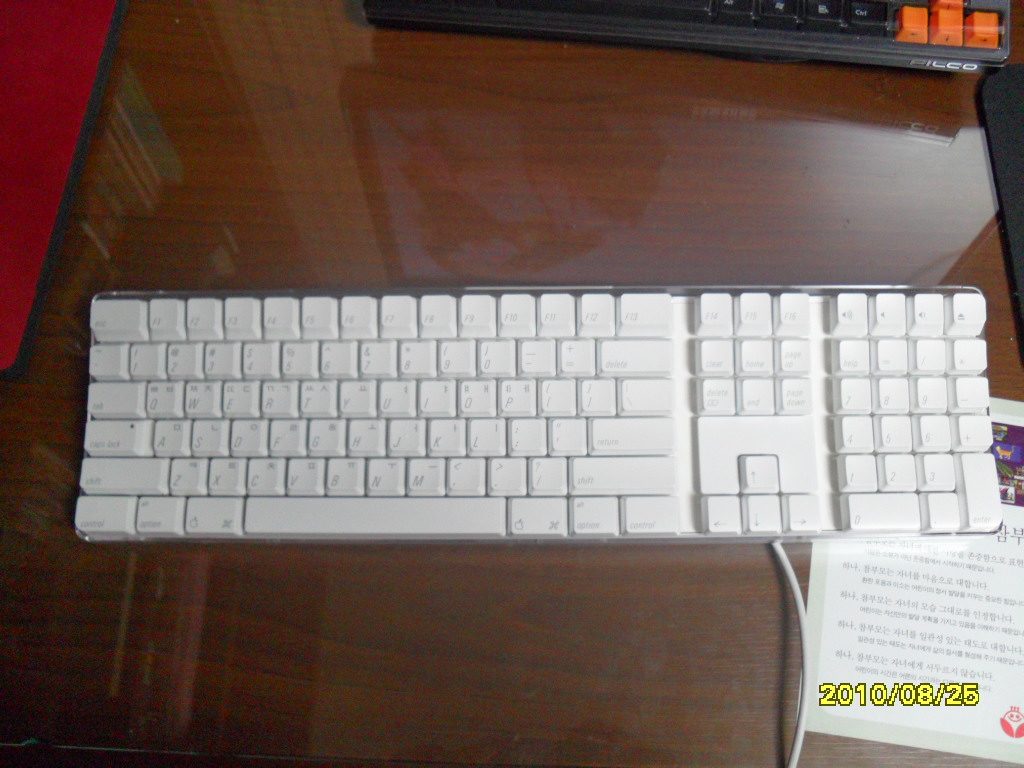 SAM_0235.JPG