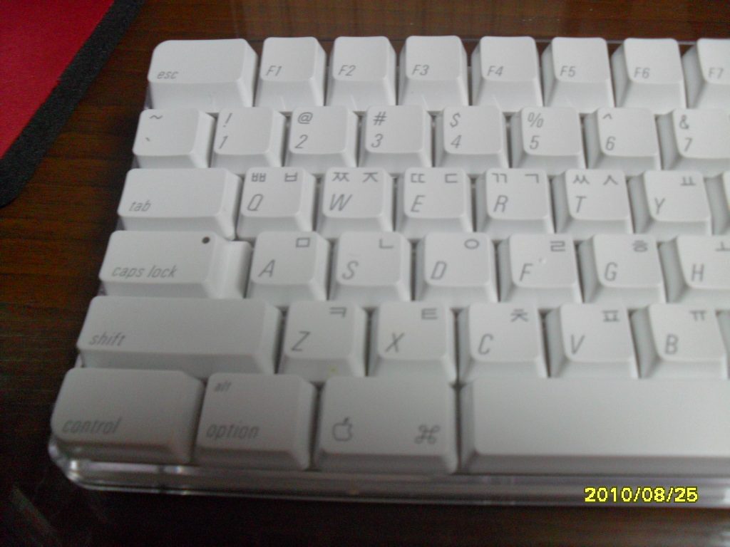 SAM_0237.JPG