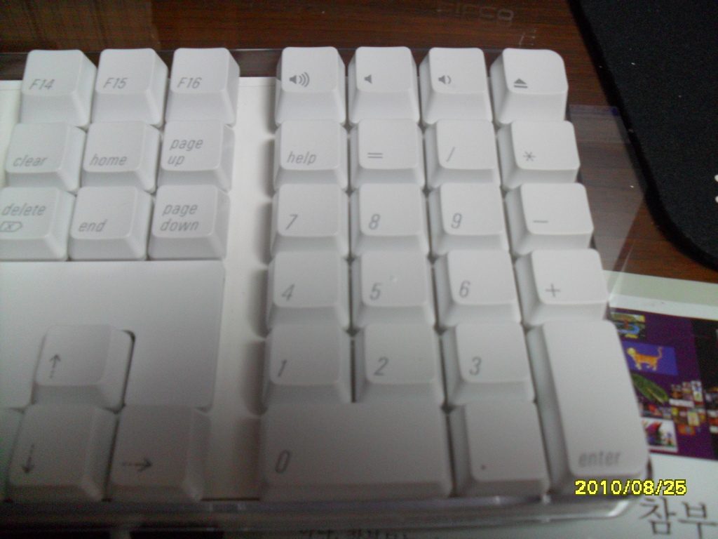 SAM_0238.JPG