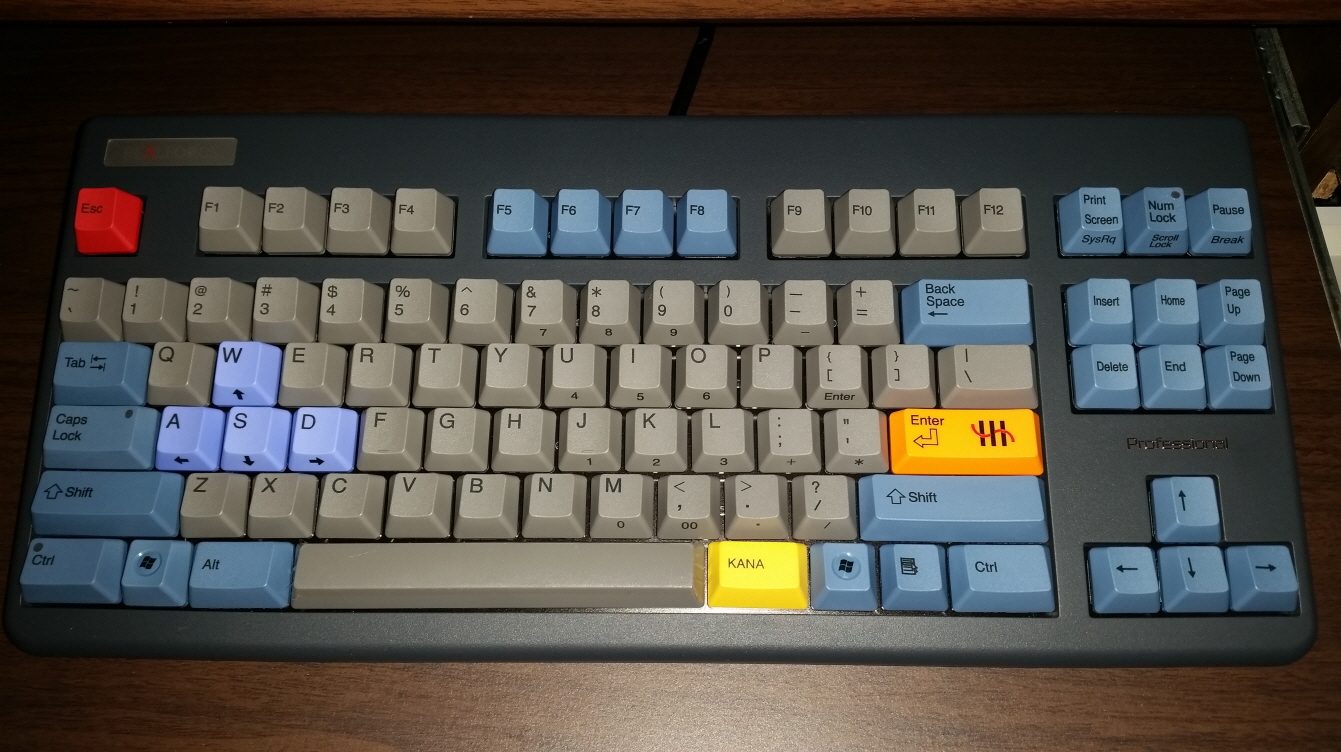 real55.jpg