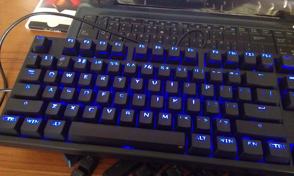IMAG1467.jpg