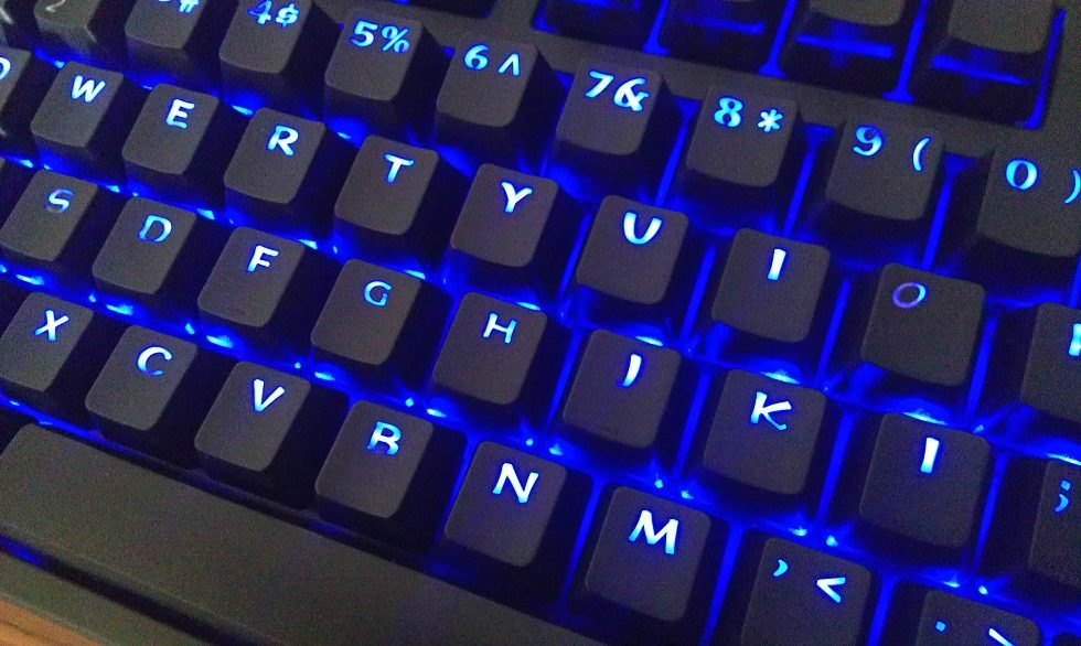 IMAG1468.jpg