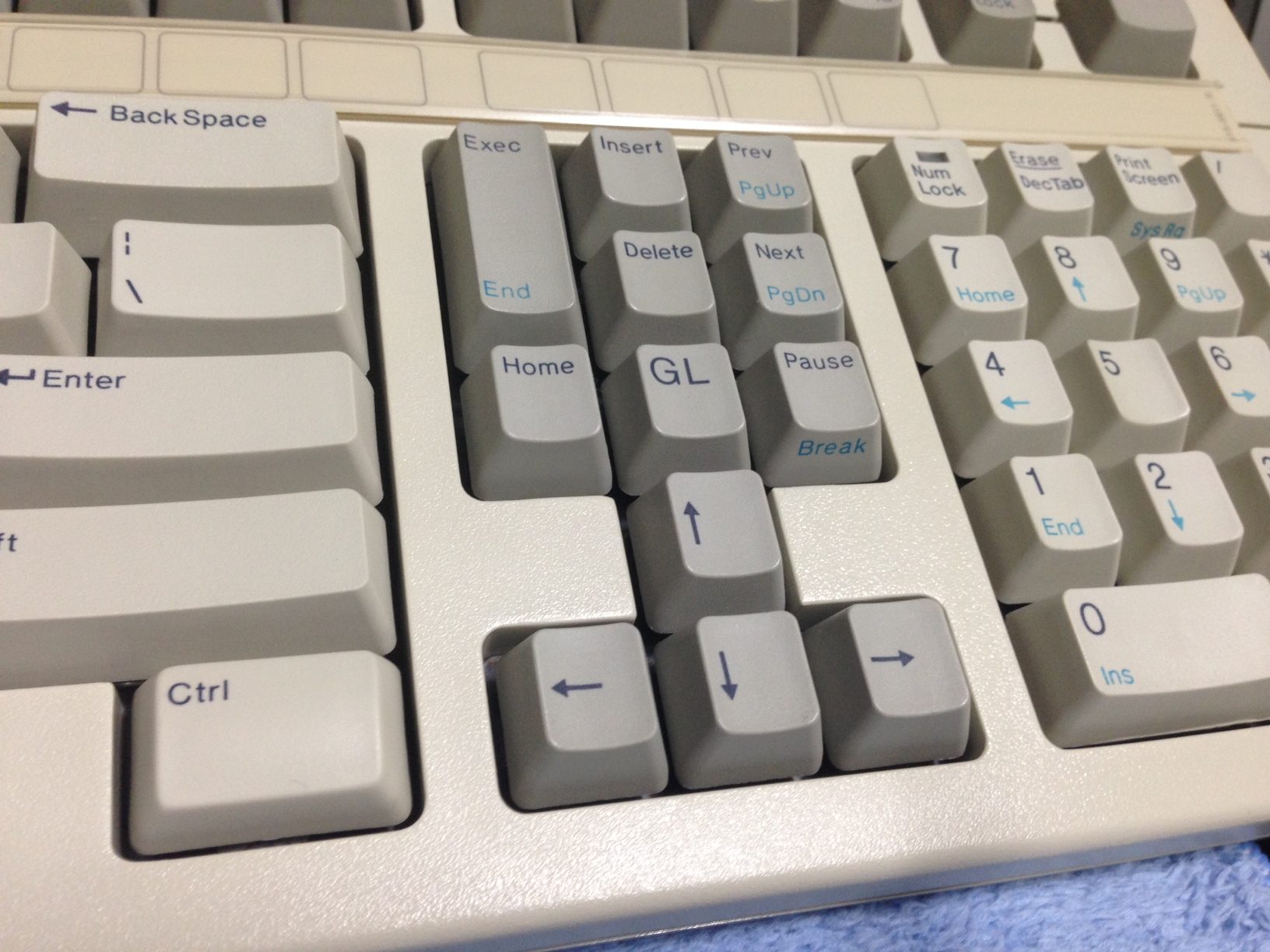 WANG725_3.jpg